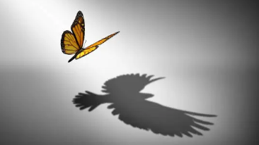 Quand tout vacille, il existe un espace pour se relever et se réinventer.